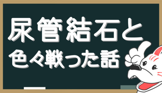 尿管結石と色々戦った話