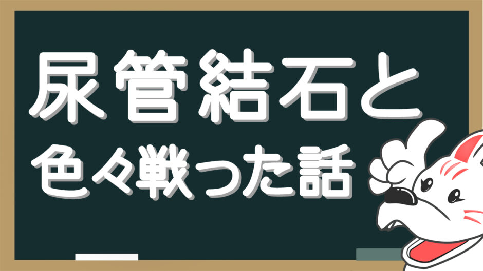 尿管結石と色々戦った話